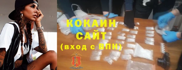 мдпв Дмитриев