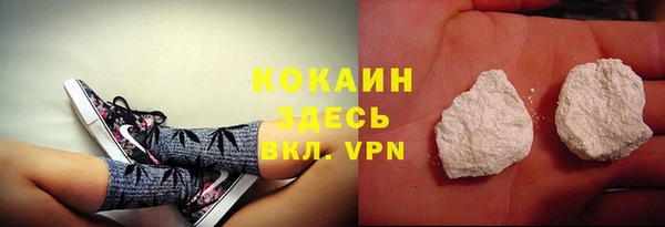 сатива Дмитров