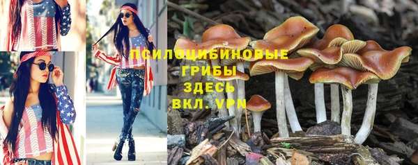 мдпв Дмитриев