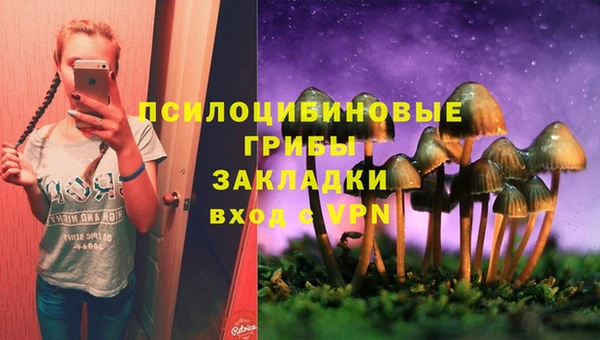 соль курить ск Гусиноозёрск