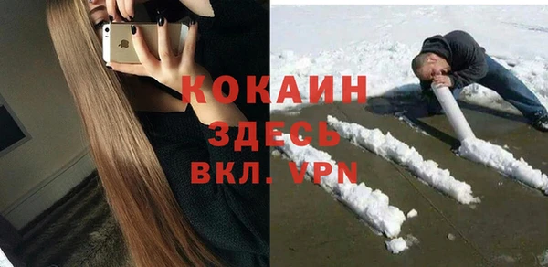 сатива Дмитров